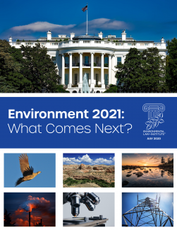 Environment 2021