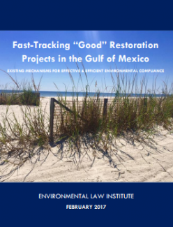 Fast-Tracking “Good” Restoration Projects in the Gulf of Mexico