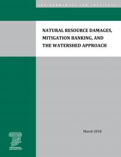 Natural Resource Damages, Mitigation Banking, and the Watershed Approach