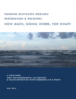 Funding Deepwater Horizon Restoration & Recovery: How Much, Going Where, For Wha