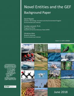 Novel Entities and the GEF: Background Paper