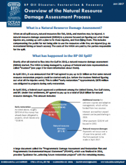 Overview of the Natural Resource Damage Assessment Process