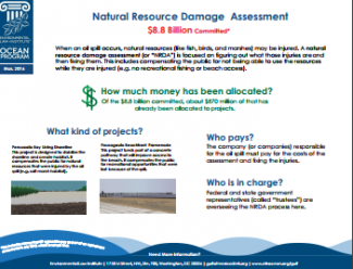 Natural Resource Damage Assessment