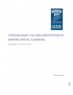 Streamlining the Implementation of Marine Spatial Planning: Key Elements for Leg