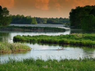 Wisconsin wetlands