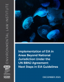 Implementation of EIA in Areas Beyond National Jurisdiction Under the UN BBNJ Agreement