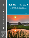 The cover of a research report, titled "Filling the Gaps: Strategies for States/Tribes for Protection of Non-WOTUS Waters"