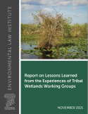 Report on Lessons Learned from the Experiences of Tribal Wetlands Working Groups Cover