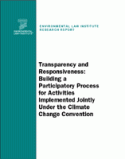 Transparency and Responsiveness: Building a Participatory Process for Activities