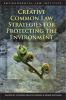 Creative Common Law Strategies for Protecting the Environment