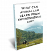 What Can Animal Law Learn From Environmental Law? 2d Edition